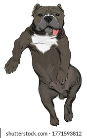 Vector art of brown french bulldog