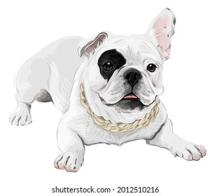 Vector art of bulldog puppy