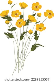 vector art of bunch of yellow flowers