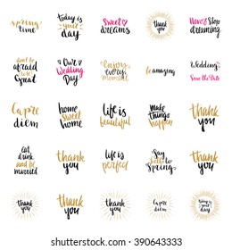 Vector art calligraphy. Hand drawn lettering collection. Vintage illustration.