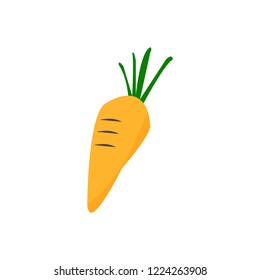vector art carrot
