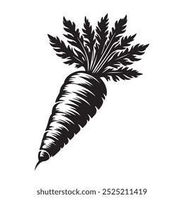 Arte vetorial da ilustração da cenoura