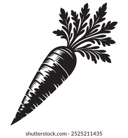 Vector art of carrot illustration