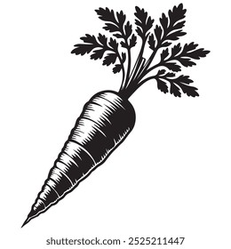 Arte vetorial da ilustração da cenoura
