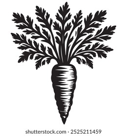 Vector art of carrot illustration