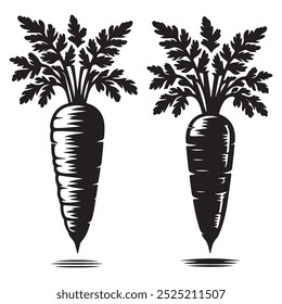 Vector art of carrot illustration