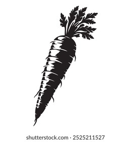 Vector art of carrot illustration