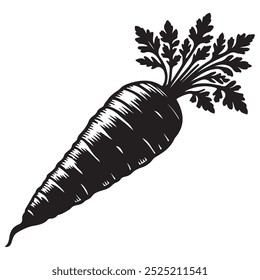 Vektorgrafik der Karottengrafik