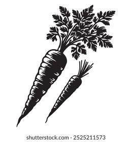 Vector art of carrot illustration