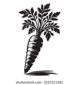 Vector art of carrot illustration