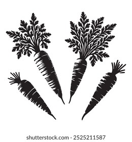 Vector art of carrot illustration
