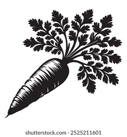 Vector art of carrot illustration
