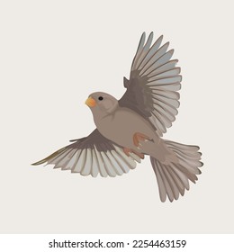 Vector Art, cartoon character art