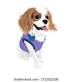 Vektorkunst Cavalier King Charles Spaniel Hund auf violettem Hemd