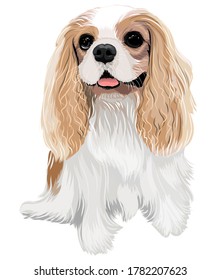 Arte vectorial de un dibujo de cachorro del rey arrogante Charles spaniel