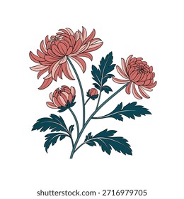 Arte vectorial de crisantemos sobre fondo blanco