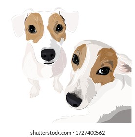 Arte vectorial de un par de perros adorables y amigables