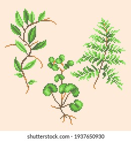 vector art cross stitch summer herbs