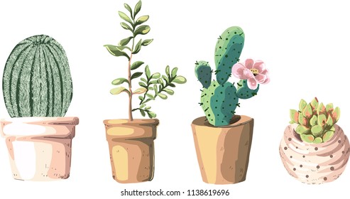 Vector art cuctus flower