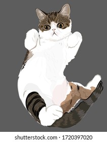 Vector art cute friendly cat