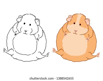 Vector art of cute little fat guinea pig on white background. Colorful illustration of small domestic cavy good for coloring pages in children book. Animal sketch drawn by freehand.