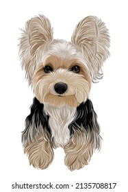 vector art of a cute puppy yorkshire terrier dog