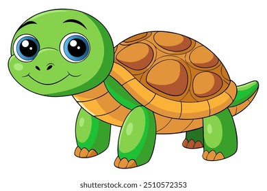 Vector art of a cute Turtle  on white background