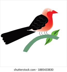 vector- art- design- bird- bird art- bird image- bird color- graphic