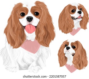 Vector art of dog cavalier king charles spaniel drawing cute puppy