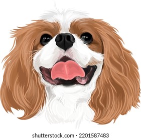 Vector Art Of Dog Cavalier King Charles Spaniel Drawing Cute Puppy Smile