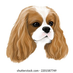 Vector art of dog cavalier king charles spaniel drawing cute puppy