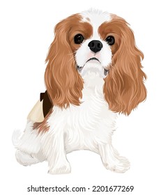 Vector art of dog cavalier king charles spaniel drawing cute puppy sitting