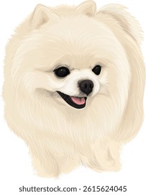 Vector art Dog illustration brush drawing cute puppy Pomeranian baby light color