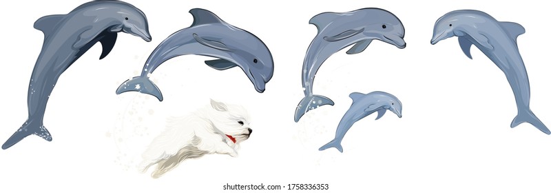 Vector art of dolphins and white dog pumping
