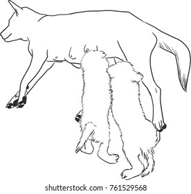 Vector art drawing of dog drinking milk on white background