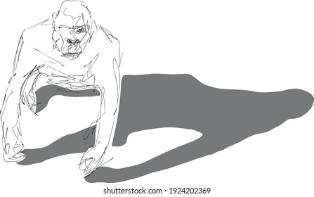 Vector art drawing of gorilla on white background.