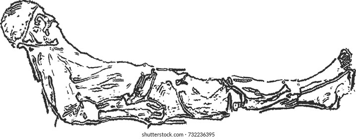 Homeless Drawing Images Stock Photos Vectors Shutterstock