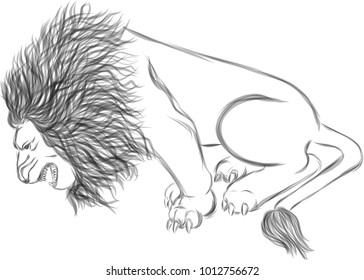Vector art drawing of Lion Roaring