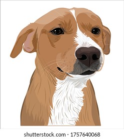 Arte vectorial de perro marrón amistoso