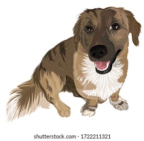 Vector art friendly cute brown dog