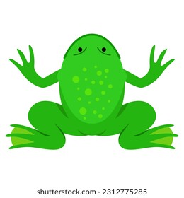 Vector art of a frog, icon and graphic design