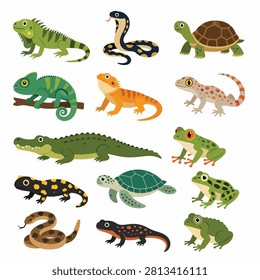 Vector art of frogs lizards snakes and turtles in bright colors