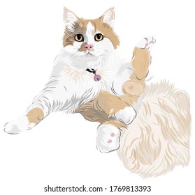vector art of funny cat sitting