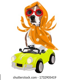 Vector art of a funny dog driving a vintage car