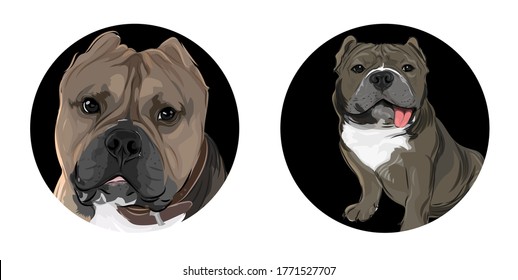 Vector art of funny face puppy french bulldog