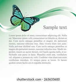 Vector art graphic illustration of butterfly background