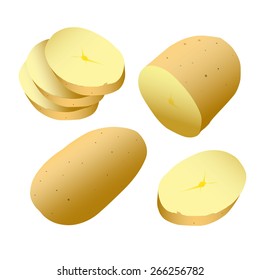 Vector art graphic illustration of fresh potatoes