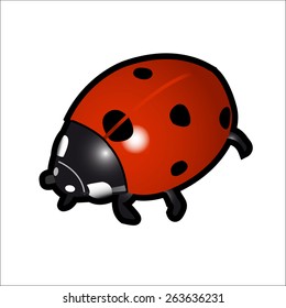 Vector art graphic illustration of meadow items