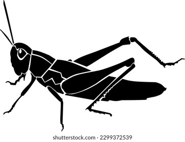 Vector art grasshopper black silhouette