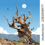 Vector art of Great Basin National Park with an iconic views of its Great Basin Bristlecone pines. An illustration of for art prints, badges or designs.